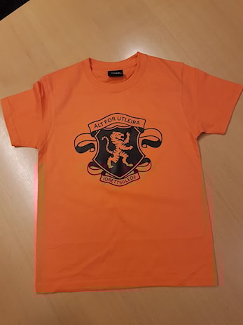 Har ditt barn fått allidrett T-skjorte?